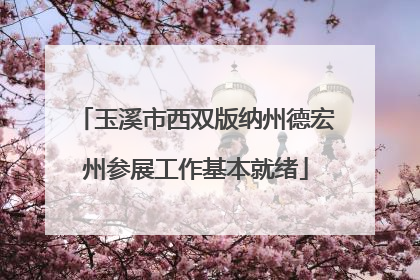 玉溪市西双版纳州德宏州参展工作基本就绪