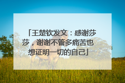 王楚钦发文：感谢莎莎，谢谢不管多痛苦也想证明一切的自己