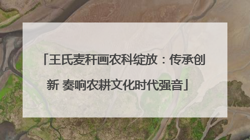 王氏麦秆画农科绽放：传承创新 奏响农耕文化时代强音