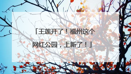 王莲开了！福州这个网红公园，上新了！