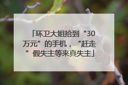 环卫大姐拾到“30万元”的手机，“赶走”假失主等来真失主