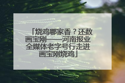 烧鸡哪家香？还数画宝刚——河南报业全媒体老字号行走进画宝刚烧鸡