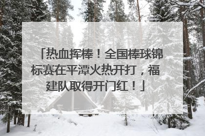 热血挥棒！全国棒球锦标赛在平潭火热开打，福建队取得开门红！