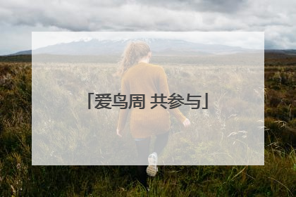 爱鸟周 共参与