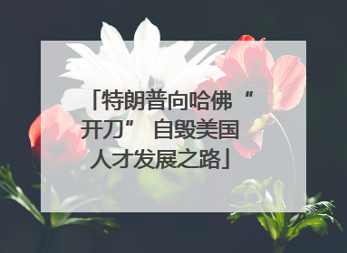 特朗普向哈佛“开刀” 自毁美国人才发展之路