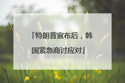特朗普宣布后，韩国紧急商讨应对