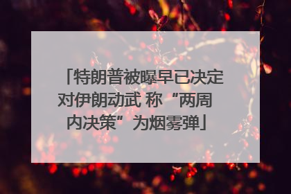 特朗普被曝早已决定对伊朗动武 称“两周内决策”为烟雾弹