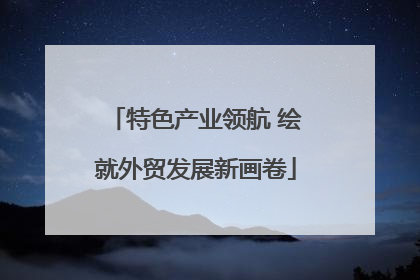 特色产业领航 绘就外贸发展新画卷