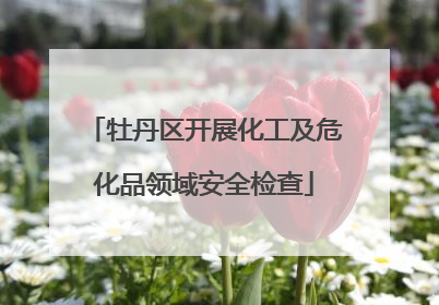 牡丹区开展化工及危化品领域安全检查
