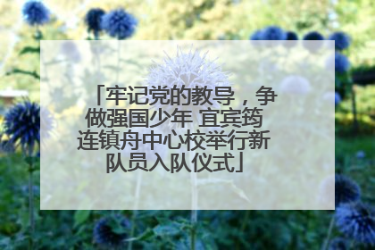 牢记党的教导，争做强国少年 宜宾筠连镇舟中心校举行新队员入队仪式