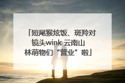 短尾猴炫饭、斑羚对镜头wink 云南山林萌物们“营业”啦