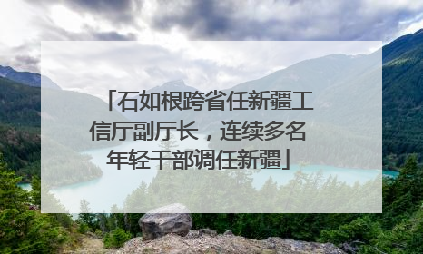 石如根跨省任新疆工信厅副厅长，连续多名年轻干部调任新疆