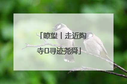 瞭望丨走近陶寺 寻迹尧舜