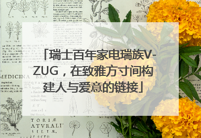 瑞士百年家电瑞族V-ZUG，在致雅方寸间构建人与爱意的链接