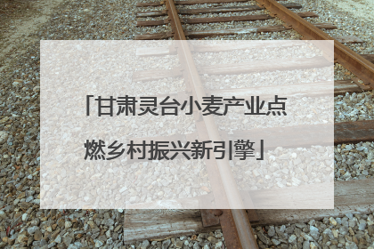 甘肃灵台小麦产业点燃乡村振兴新引擎