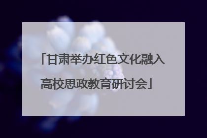 甘肃举办红色文化融入高校思政教育研讨会