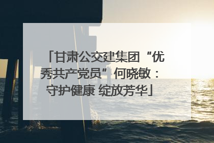 甘肃公交建集团“优秀共产党员”何晓敏：守护健康 绽放芳华