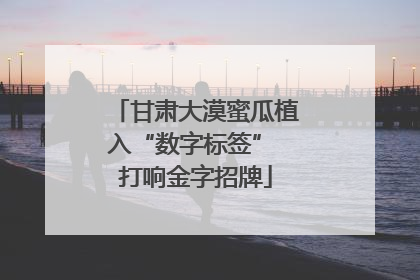 甘肃大漠蜜瓜植入“数字标签” 打响金字招牌