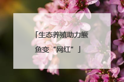 生态养殖助力鳜鱼变“网红”