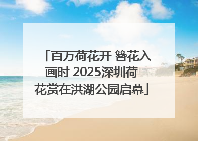 百万荷花开 簪花入画时 2025深圳荷花赏在洪湖公园启幕