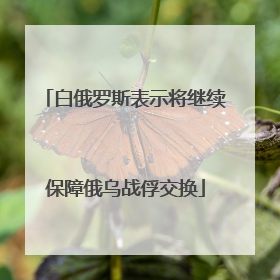 白俄罗斯表示将继续保障俄乌战俘交换