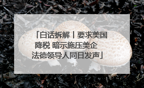 白话拆解丨要求美国降税 暗示施压美企 法德领导人同日发声