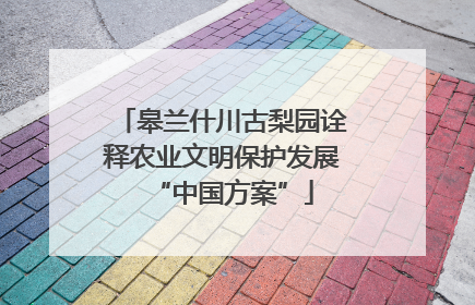 皋兰什川古梨园诠释农业文明保护发展“中国方案”