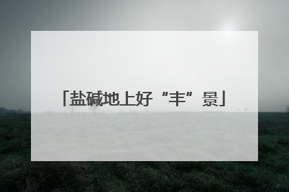 盐碱地上好“丰”景