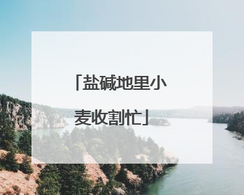 盐碱地里小麦收割忙