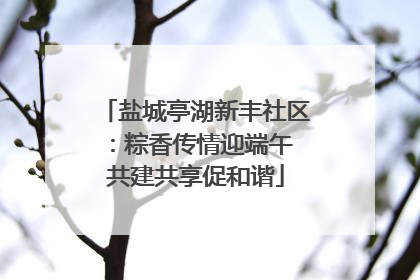 盐城亭湖新丰社区：粽香传情迎端午 共建共享促和谐