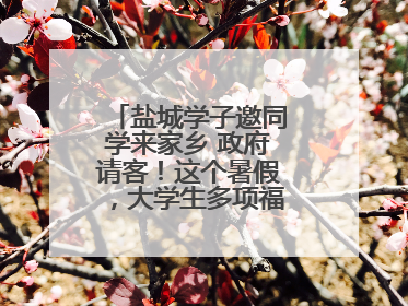 盐城学子邀同学来家乡 政府请客！这个暑假，大学生多项福利免费游盐城