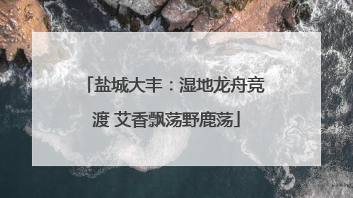 盐城大丰：湿地龙舟竞渡 艾香飘荡野鹿荡