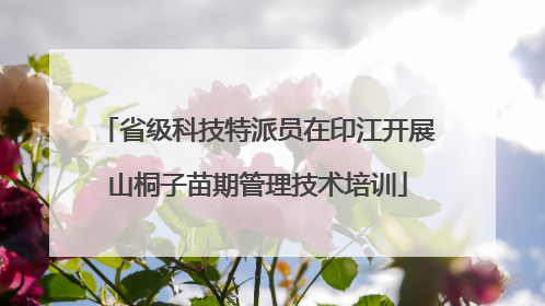 省级科技特派员在印江开展山桐子苗期管理技术培训