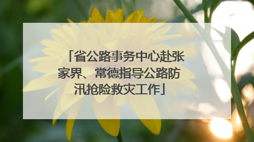 省公路事务中心赴张家界、常德指导公路防汛抢险救灾工作