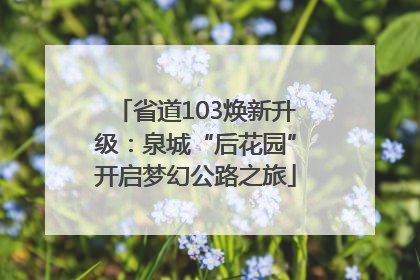 省道103焕新升级：泉城“后花园”开启梦幻公路之旅