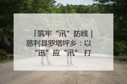 筑牢“汛”防线｜慈利县罗塔坪乡：以“迅”应“汛” 打赢暴雨防御战
