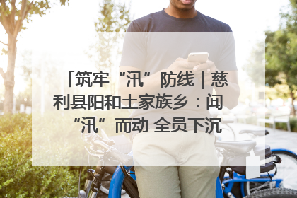 筑牢“汛”防线｜慈利县阳和土家族乡：闻“汛”而动 全员下沉筑牢防汛“安全堤”