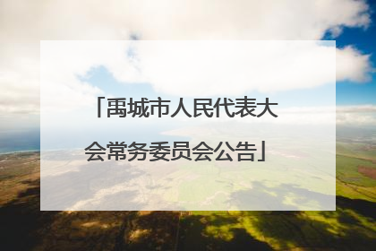 禹城市人民代表大会常务委员会公告