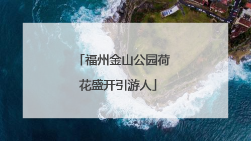 福州金山公园荷花盛开引游人