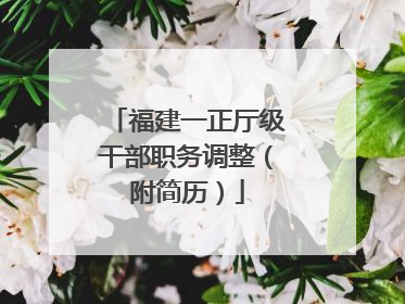 福建一正厅级干部职务调整（附简历）