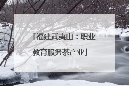 福建武夷山：职业教育服务茶产业