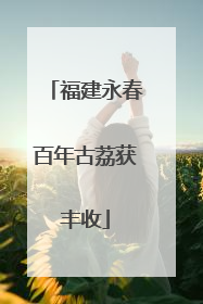 福建永春百年古荔获丰收
