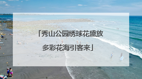 秀山公园绣球花盛放 多彩花海引客来