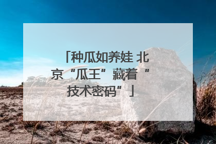 种瓜如养娃 北京“瓜王”藏着“技术密码”