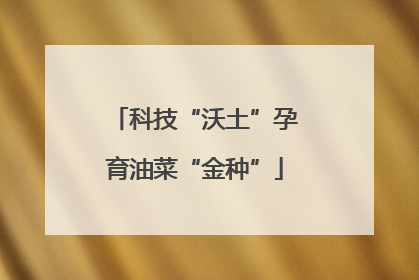 科技“沃土”孕育油菜“金种”