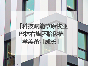 科技赋能草原牧业 巴林右旗胚胎移植羊羔茁壮成长