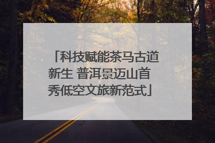科技赋能茶马古道新生 普洱景迈山首秀低空文旅新范式