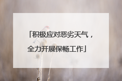 积极应对恶劣天气，全力开展保畅工作