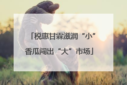 税惠甘霖滋润“小”香瓜闯出“大”市场