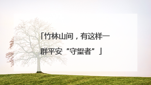 竹林山间，有这样一群平安“守望者”